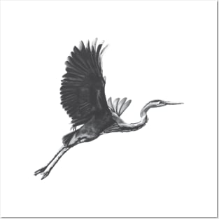 Great Blue Heron Posters and Art